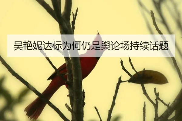 吴艳妮达标为何仍是舆论场持续话题 - leyu